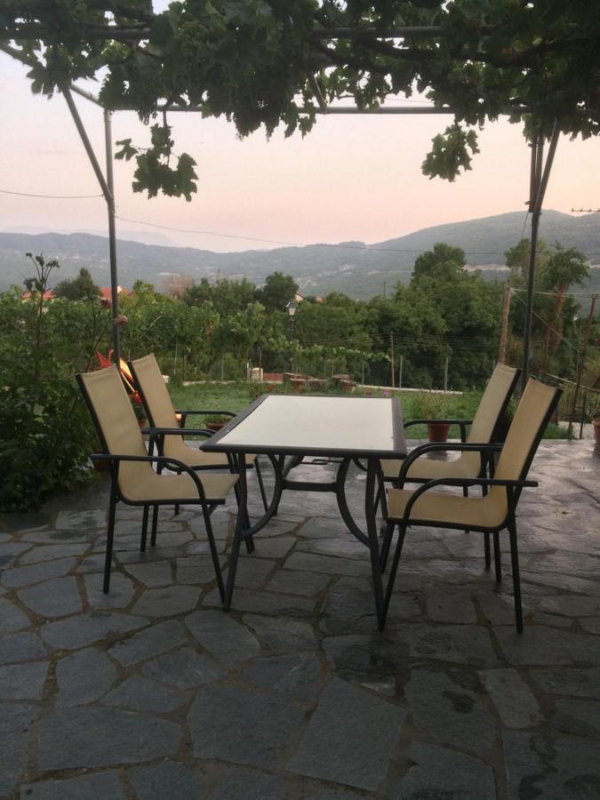 Guesthouse "Athina" Elliniko  Eksteriør bilde